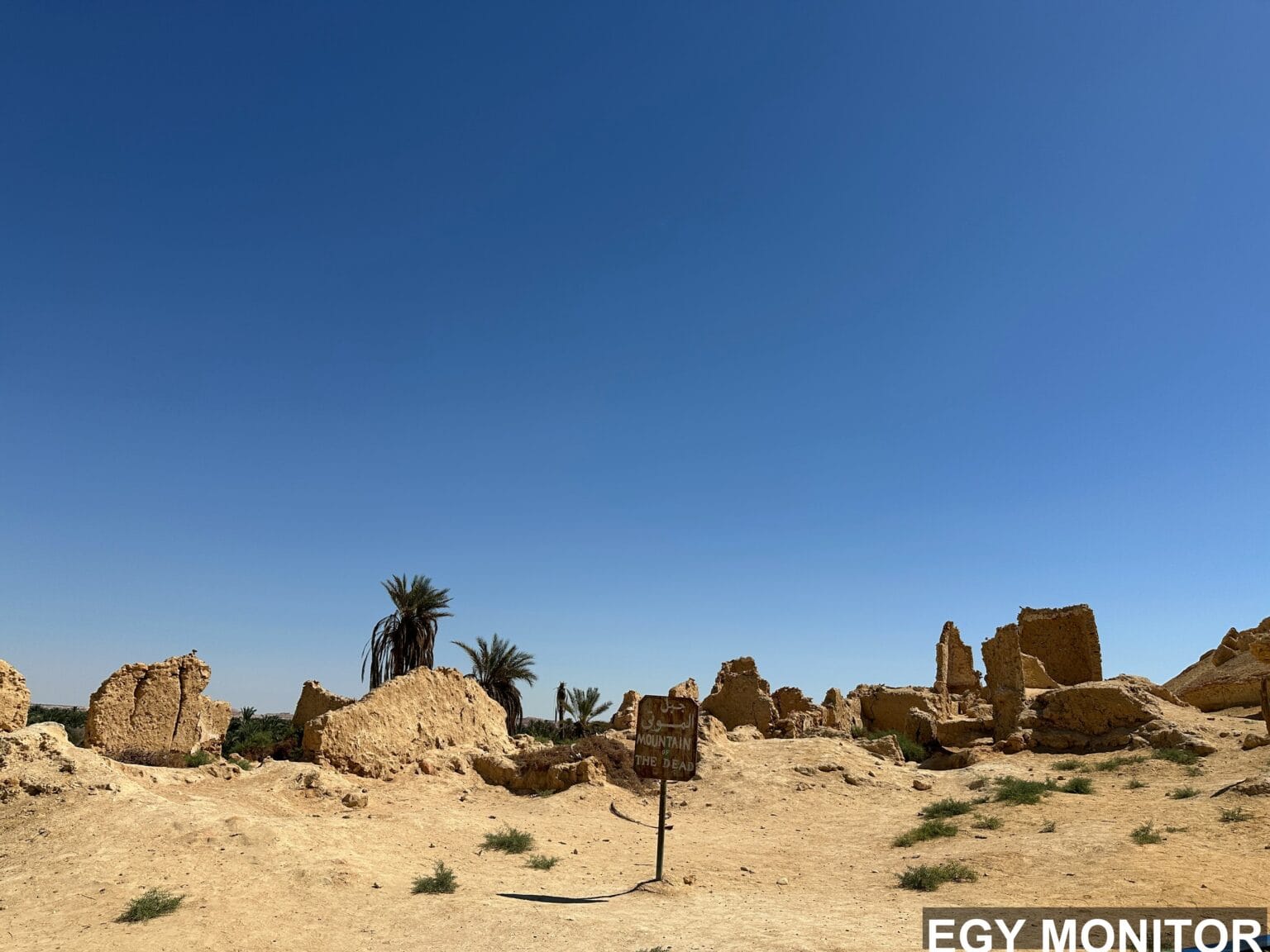 مصر تفتتح حديقة شمسية جديدة في بنبان لتعزيز إنتاج الطاقة المتجددة